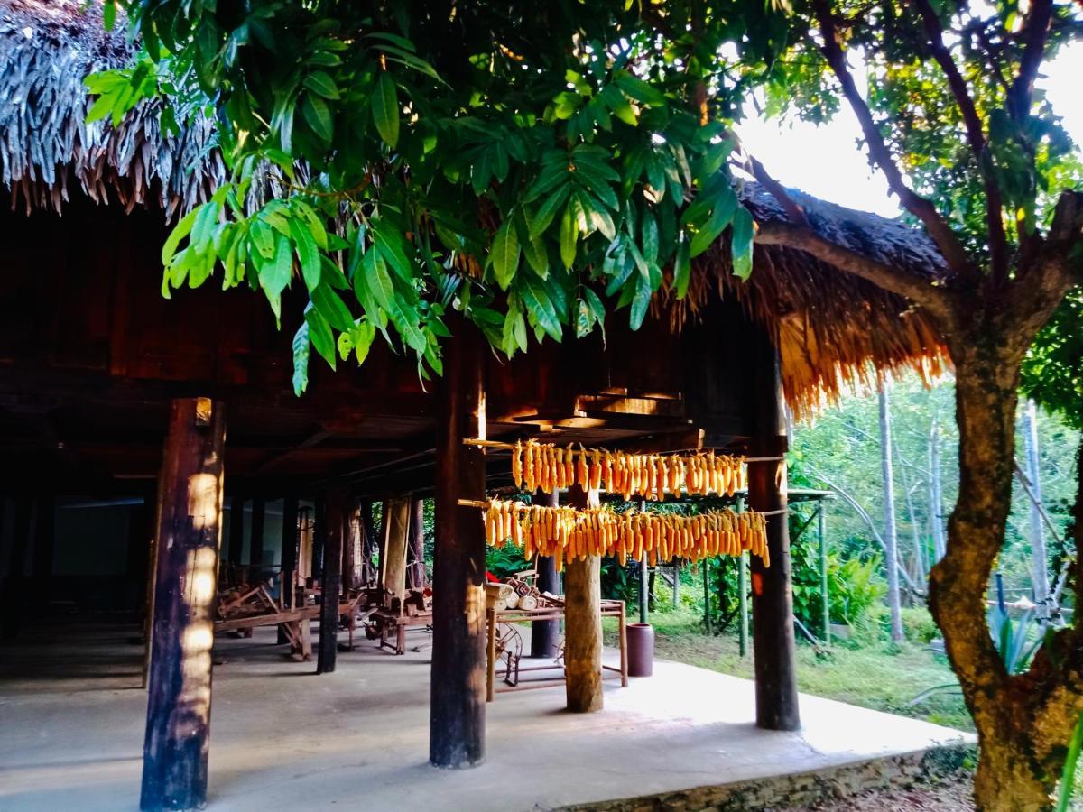 Muong Retreat- Nghi Duong Xanh Trong Bao Tang Van Hoa Nghe Thuat,Hoa Binh Ξενοδοχείο Εξωτερικό φωτογραφία