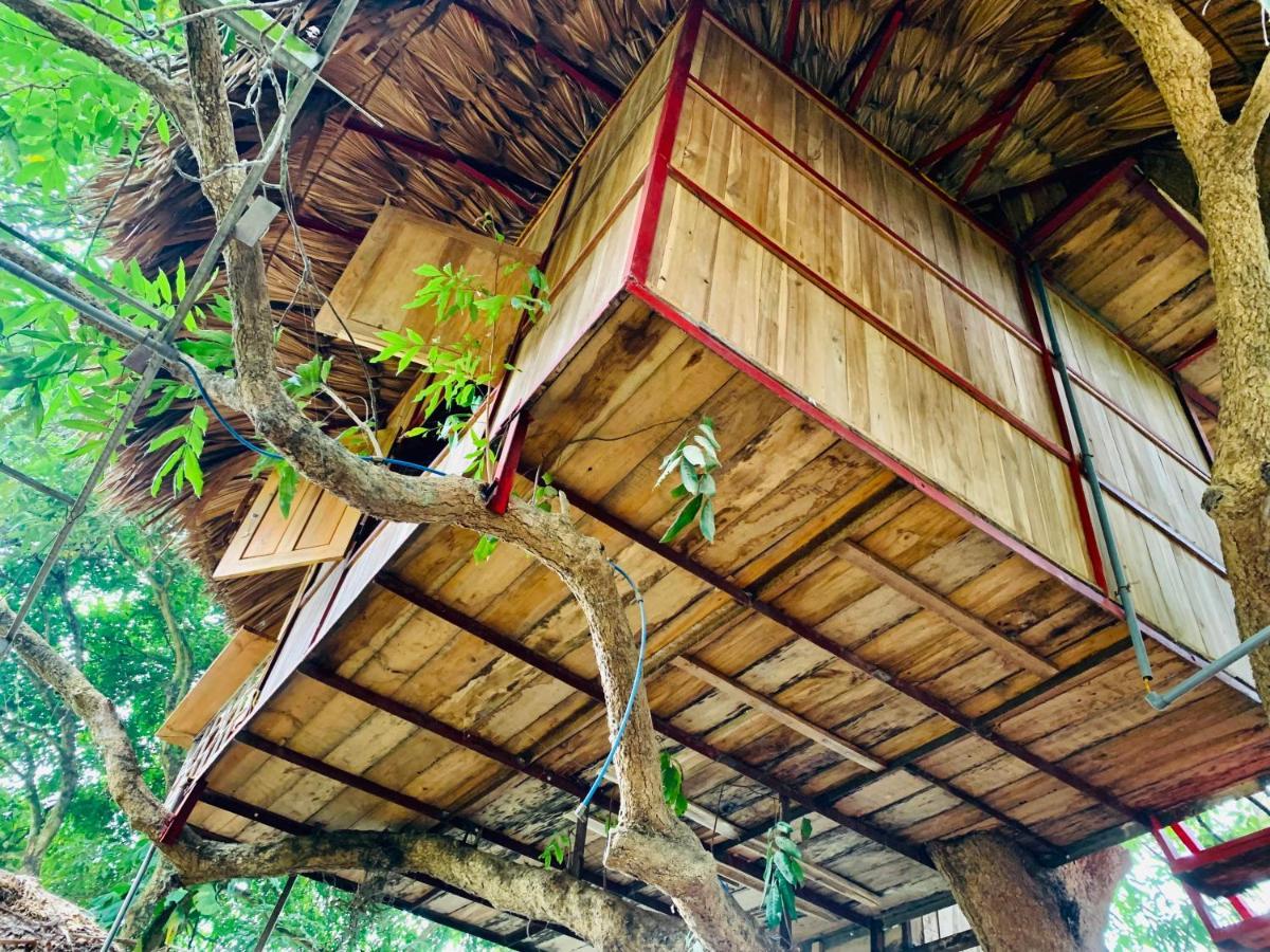 Muong Retreat- Nghi Duong Xanh Trong Bao Tang Van Hoa Nghe Thuat,Hoa Binh Ξενοδοχείο Εξωτερικό φωτογραφία